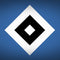 HAMBURGER SV