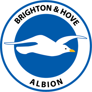 Logo di gabbiano bianco con becco giallo su sfondo blu circolare nella collezione brighton