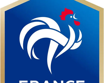Lo stemma ufficiale della federazione francese di calcio con un gallo bianco su scudo blu bordato doro nella collezione francia