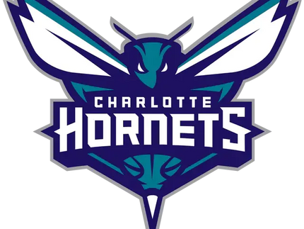 Il logo ufficiale dei charlotte hornets con uno stilizzato calabrone ali turchesi e viola su sfondo nero