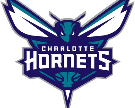 Il logo ufficiale dei charlotte hornets con uno stilizzato calabrone ali turchesi e viola su sfondo nero