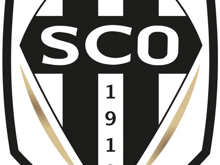 Collection image for: ANGERS