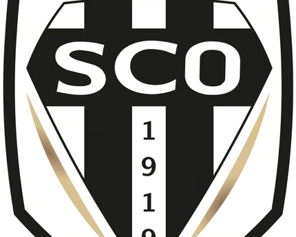 Collection image for: ANGERS