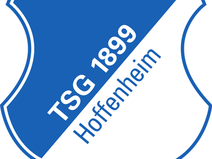 Collection image for: HOFFENHEIM