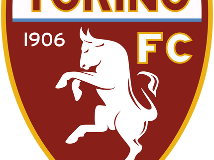 Collection image for: TORINO