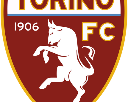 Collection image for: TORINO