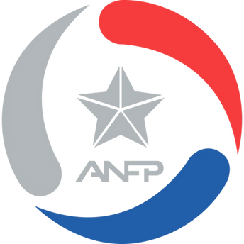 Collection image for: ANFP PLANVITAL LIGA CHILENA