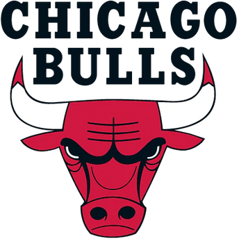 Collection image for: CHICAGO BULLS