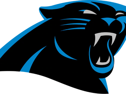 Collection image for: CAROLINA PANTHERS