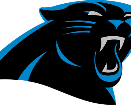 Collection image for: CAROLINA PANTHERS