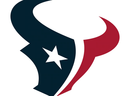 Collection image for: HOUSTON TEXANS