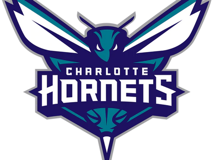 Collection image for: HORNETS