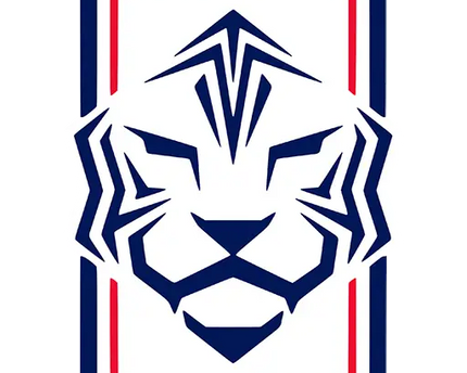 Logo stilizzato di testa di tigre blu navy con linee geometriche e bordo rosso e blu su sfondo bianco della collezione south korea