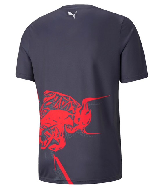 Polo F1 Red Bull 2022/23