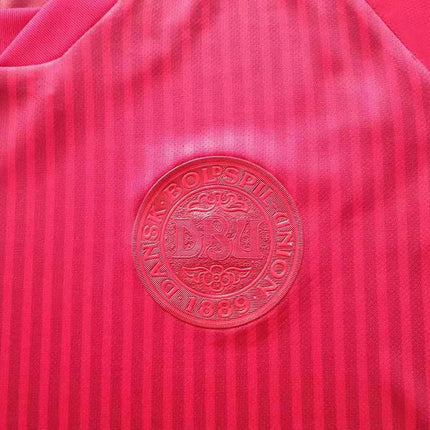Terza  Maglia Retro Danimarca 2020/21 (Nazionali)