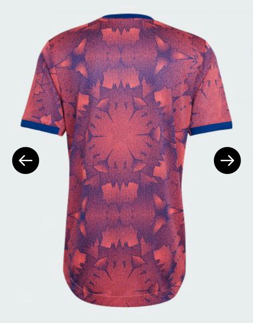 Terza Maglia Juventus 2022/23