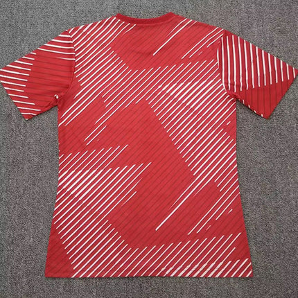 Maglia Giappone Pre-Match 2022/23 (Nazionali)