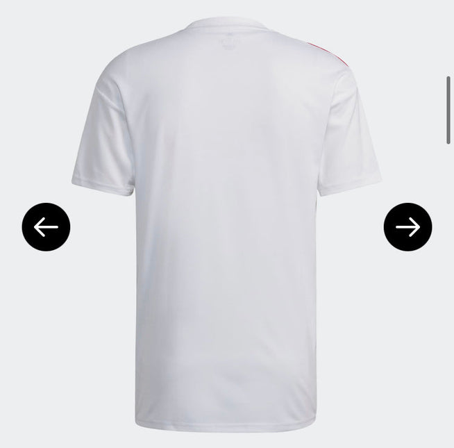 Maglia Olympique Lione Home 2022/23( con Taglia XXXL e Taglia Bambino )