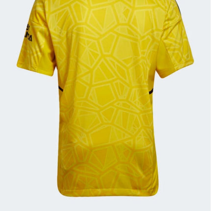 Maglia 1 Portiere Arsenal 2022/23 ( con Taglia XXXL e Taglia Bambino )