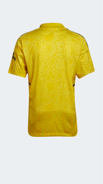 Maglia 1 Portiere Arsenal 2022/23 ( con Taglia XXXL e Taglia Bambino )