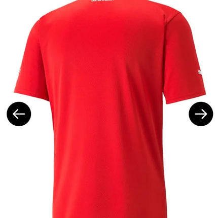 Austria Home Jersey 2022/23 (National Teams)