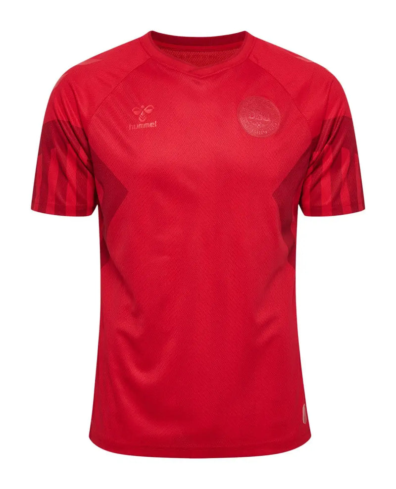 Denmark Home Jersey 2022/23 (National Teams)