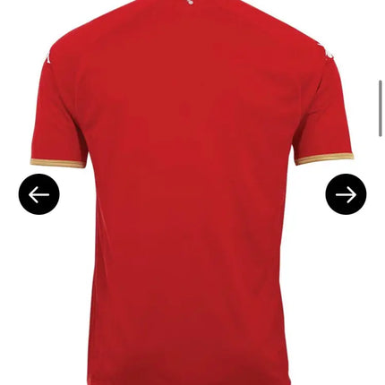 Mainz Home Jersey 2022/23