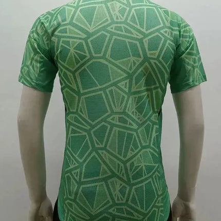 Manchester United Goalkeeper Jersey 2022/23