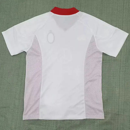 Milan Special Edition Training Jersey 2021/22 (National Teams)
