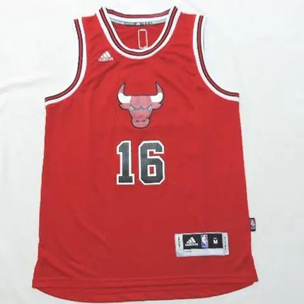 NBA Youth Chicago Bulls Jersey