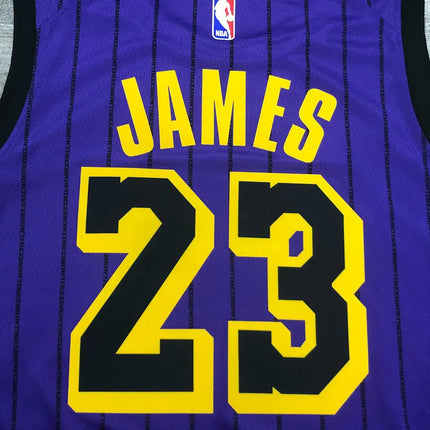 NBA Purple Lakers Jersey 2021/22