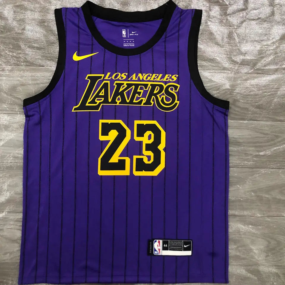 NBA Purple Lakers Jersey 2021/22