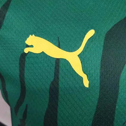 Senegal Commemorative Edition 2022/23 Jersey (National Teams)
