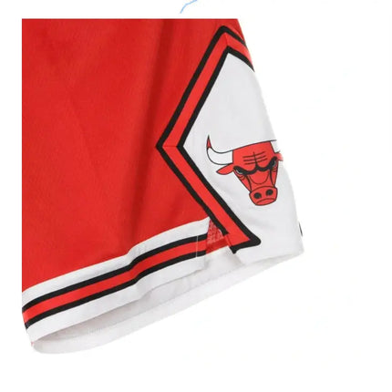 NBA Chicago Bulls Shorts 2021/22