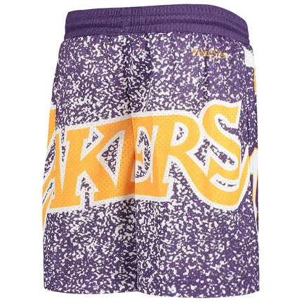 NBA Los Angeles Lakers Mitchell & Ness Youth Hardwood Shorts