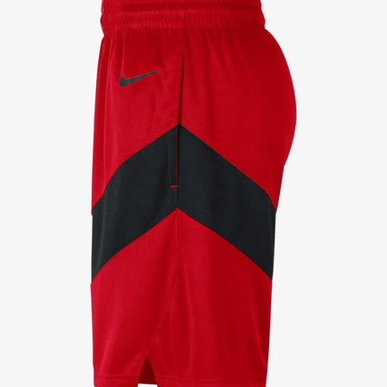 NBA Toronto Raptors Icon Edition 2020/21 Shorts